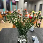 Orion Nowy Sacz Chelmiec Hotel
